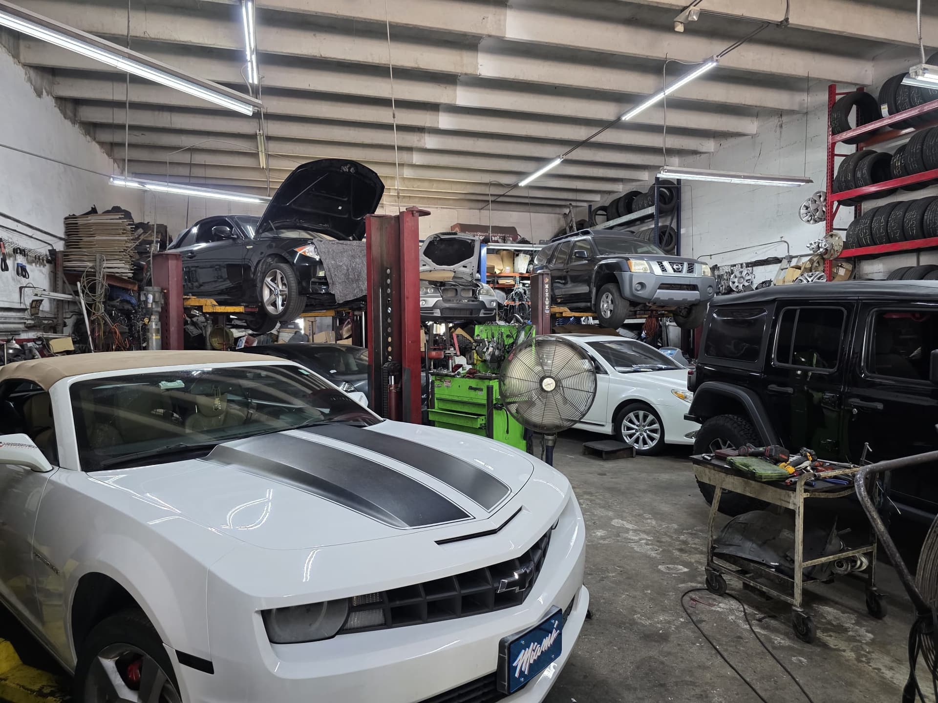 Vehicles on lifts inside the Pacho's Quality Auto Repair service bay